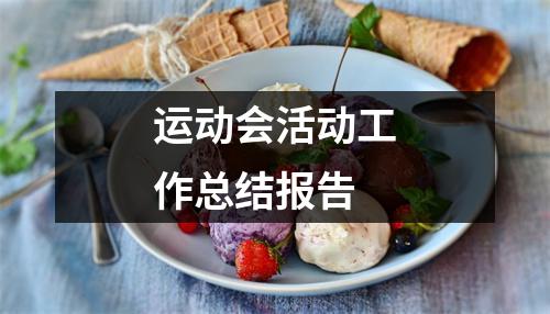 运动会活动工作总结报告